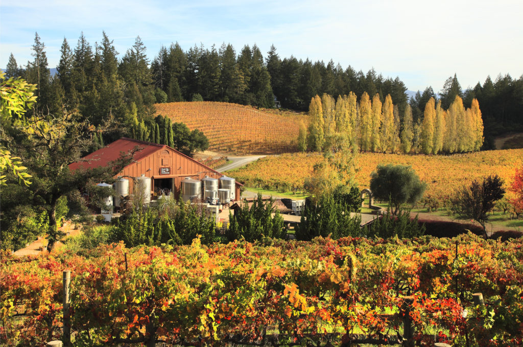 Healdsburg fall wineries