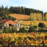 Healdsburg fall wineries