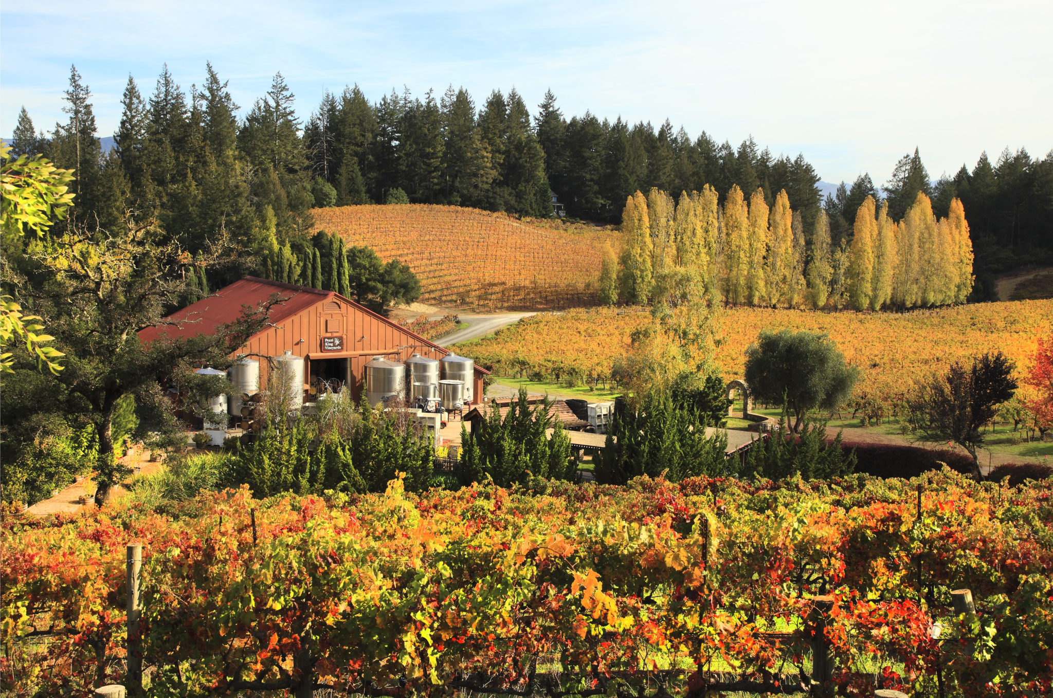 Healdsburg fall wineries